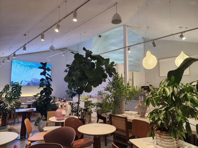 Kumo Dessert Café interior with lush plants, sculptural pendant lights and a large LED screen